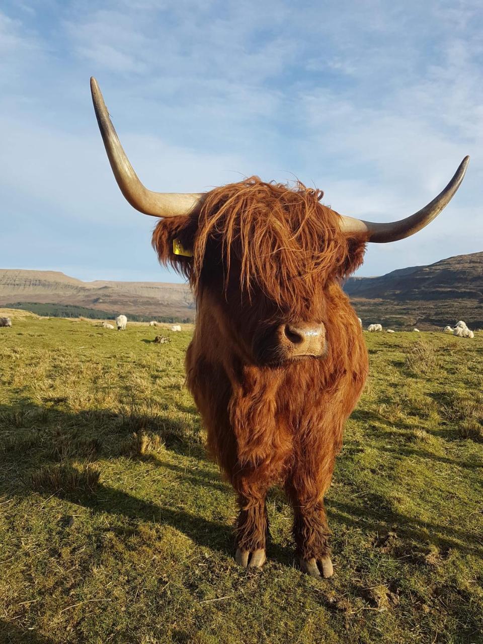 Trotternish B&B 波特里 外观 照片